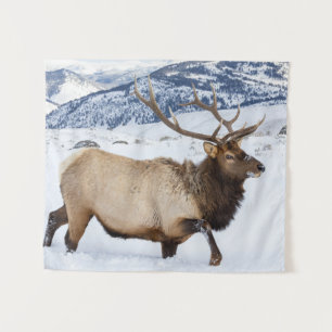 Tapiz Bull Elk   Wyoming