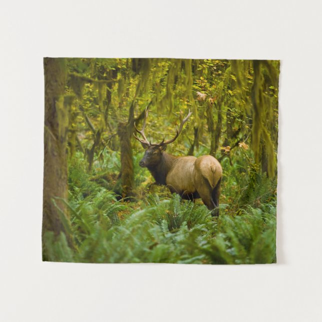 Tapiz Bull Roosevelt Elk (Anverso (horizontal))