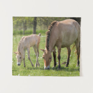 Tapiz Caballo de Przewalski y potro pastando