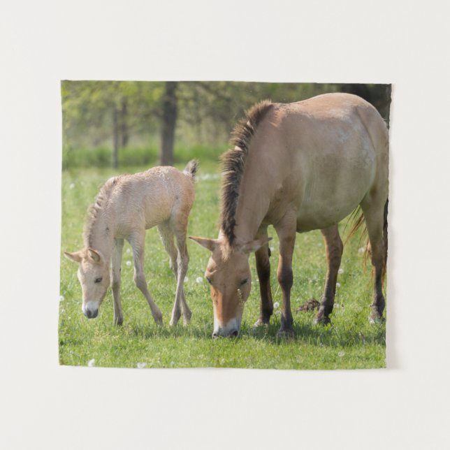 Tapiz Caballo de Przewalski y potro pastando (Anverso (horizontal))