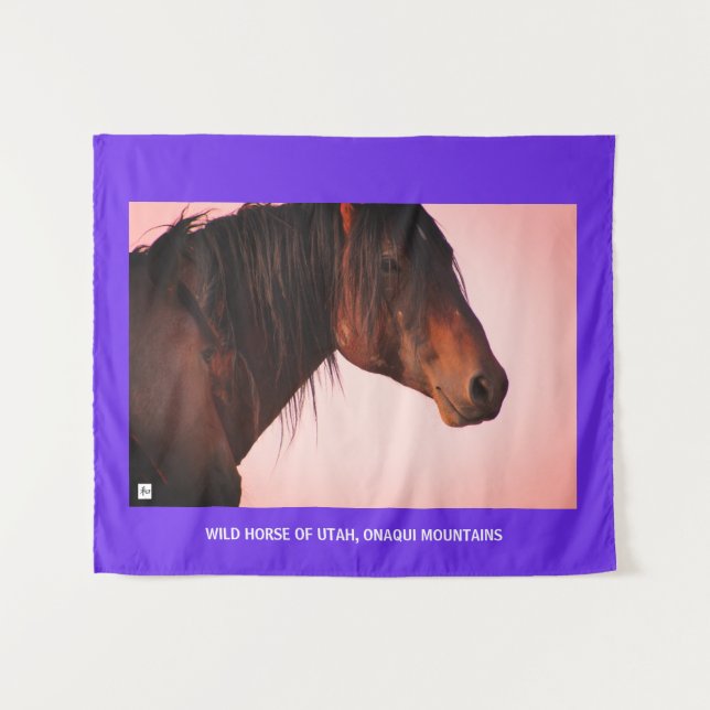 TAPIZ CABALLO DE TAPESTRÍA DE UTAH, MONTAÑAS ONAQUI (Anverso (horizontal))