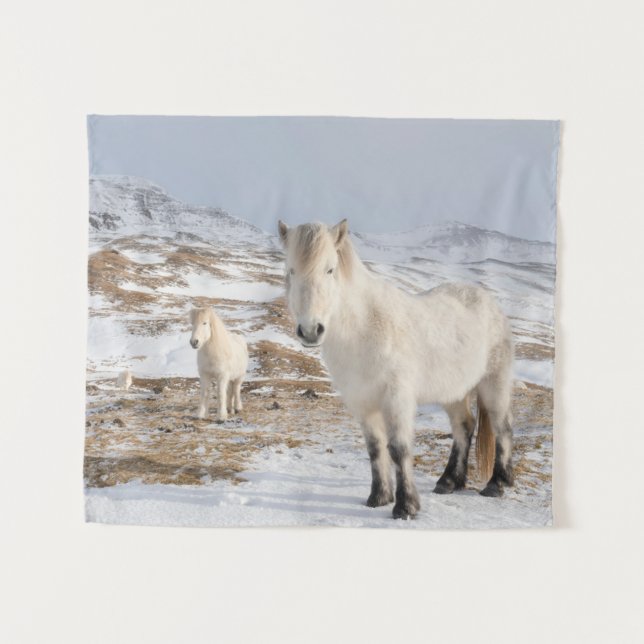 Tapiz Caballo islandés | Blonduos, Islandia (Anverso (horizontal))