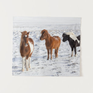 Tapiz Caballo islandés con Abrigo típico de invierno