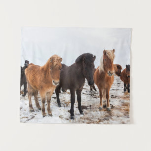 Tapiz Caballo Islandés Durante el Invierno Islandia