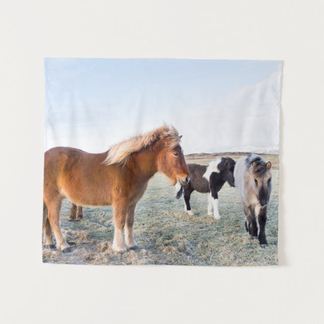 Tapiz Caballo islandés en invierno en Islandia (Anverso (horizontal))