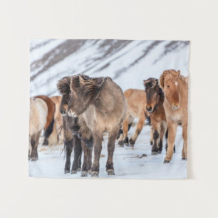 Tapiz Caballos islandeses en pastura de invierno cerca d
