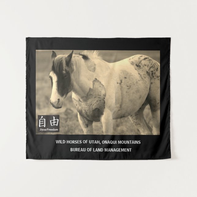 TAPIZ CABALLOS SILVESTRE DE UTAH, CABALLO DE PINTO (Anverso (horizontal))