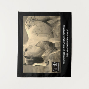 TAPIZ CABALLOS SILVESTRE DE UTAH, MONTAÑAS DE ONAQUI BLM