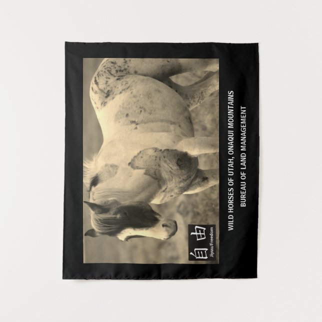 TAPIZ CABALLOS SILVESTRE DE UTAH, MONTAÑAS DE ONAQUI BLM (Anverso)
