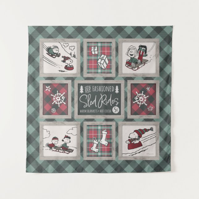 Tapiz Cacahuetes | Antiguo Patrón De Modas De Sleigh Rid (Anverso)