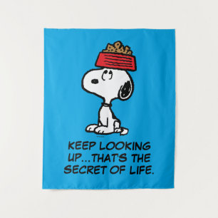 Tapiz Cacahuetes Snoopy Balanceando Su Plato De Perro