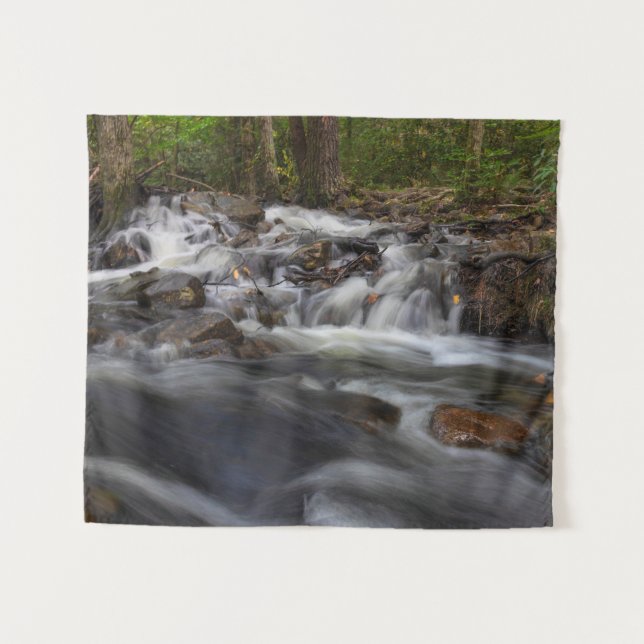 Tapiz Cae en la carrera de la primavera de arena (Anverso (horizontal))