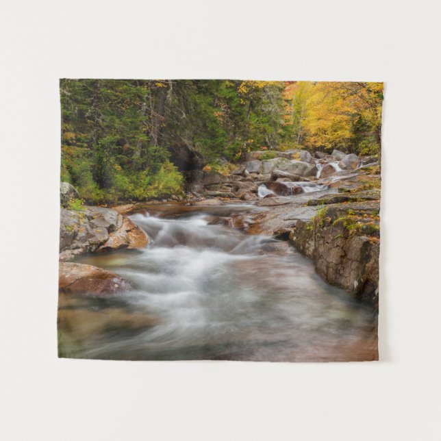 Tapiz Caída en Jefferson Brook, New Hampshire (Anverso (horizontal))