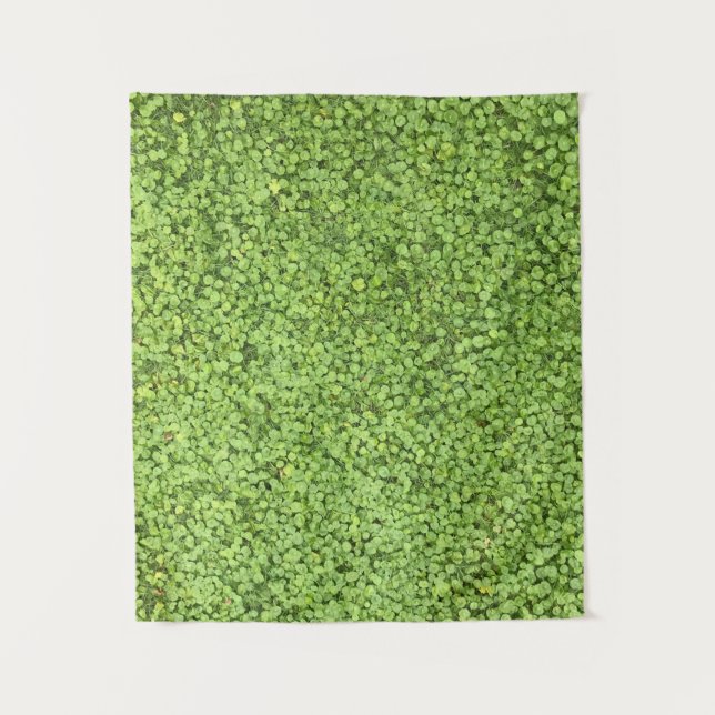 Tapiz Campo de la planta verde (Anverso)