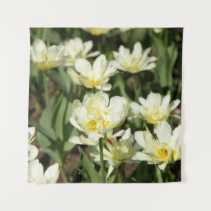 Tapiz Campo de tulipanes blancos Foto