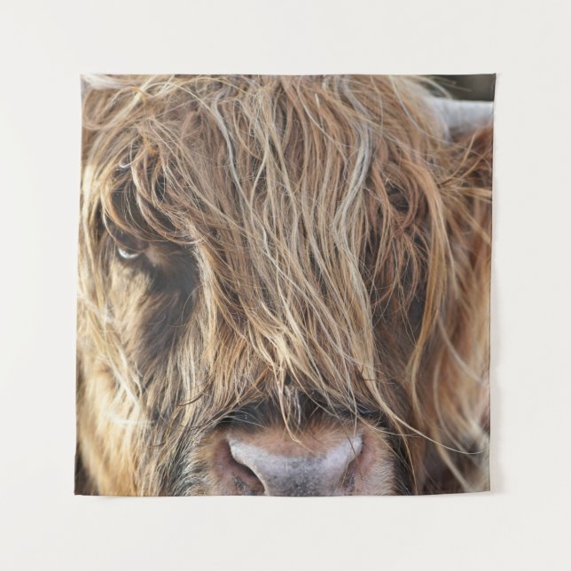 TAPIZ CARA DE VACA DE HIGHLAND (Anverso)