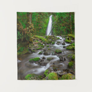 Tapiz Cascada Ruckel Creek, desfiladero del río Columbia