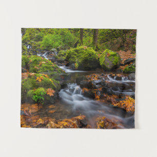 Tapiz Cascada Starvation Creek   Desfiladero de Columbia