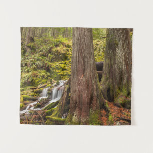 Tapiz Cascada White Branch, Cascadas de Oregon, Oregon