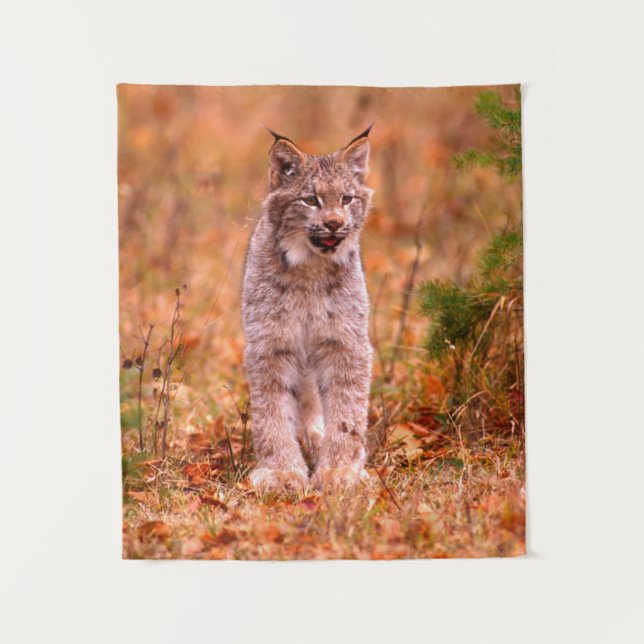 Tapiz Caza Bobcat | Bosque otoñal (Anverso)