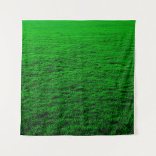 Tapiz césped verde de fondo