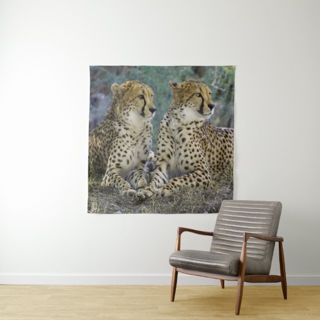 Tapiz Cheetah (In situ)