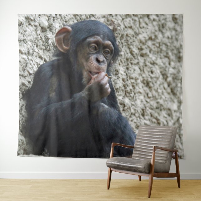 Tapiz Chimpanzee 013 (In situ (horizontal))