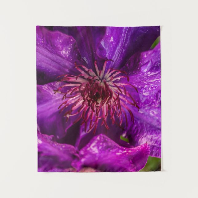 Tapiz Clematis El Presidente (Anverso)