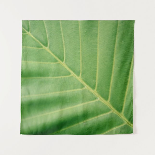 Tapiz Close up photo of green leaf (Anverso)