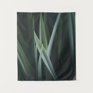 Tapiz Close up photo of green linear leaves