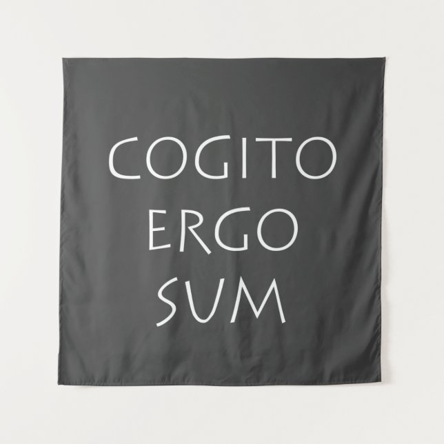 Tapiz Cogito ergo sum (Anverso)
