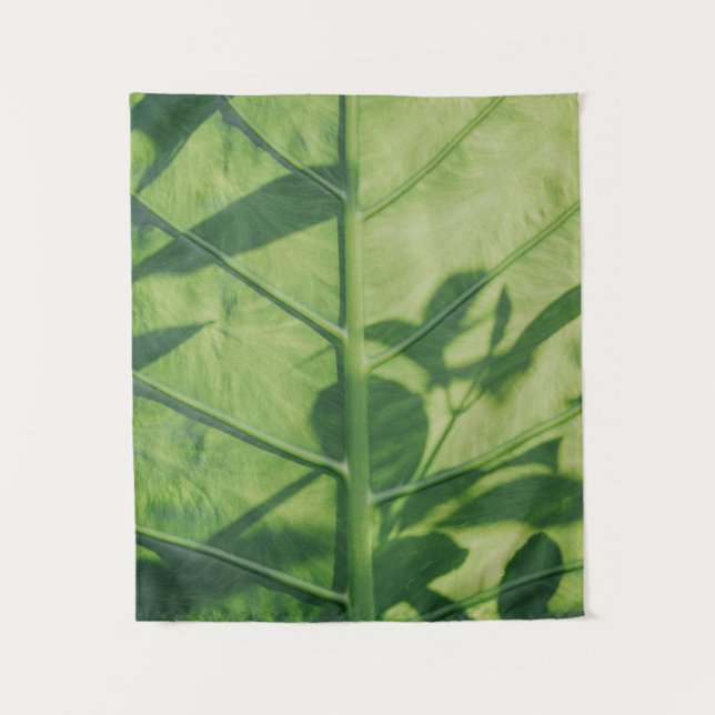 Tapiz Colocasia esculenta leaf (Anverso)