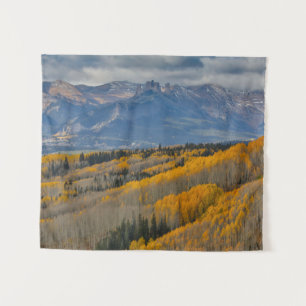 Tapiz Colores otoñales en los bosques de Aspen