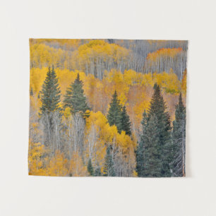 Tapiz Colores otoñales en los bosques de Aspen