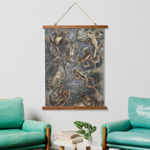 Tapiz Con Marco De Madera Academia Oscura Haeckel Estampa Vintage de Rana Na