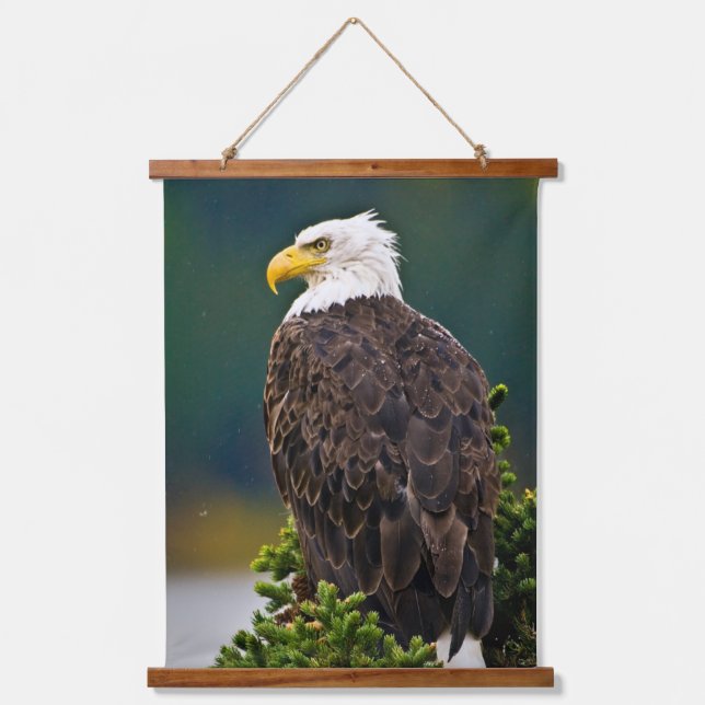 Tapiz Con Marco De Madera Águila calva americana posada (Anverso)