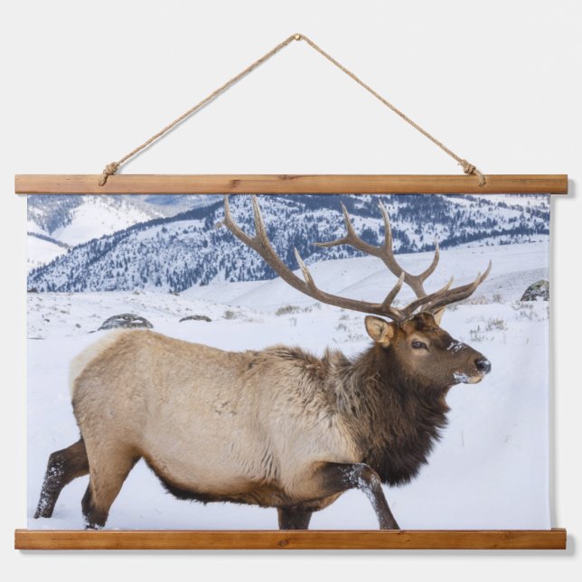 Tapiz Con Marco De Madera Alce macho | Wyoming (Anverso )