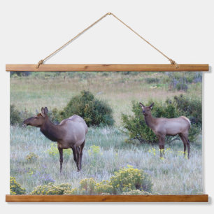 Tapiz Con Marco De Madera American Elk   Colorado