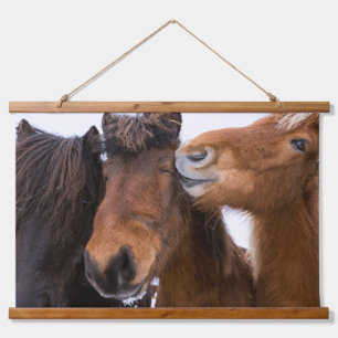 Tapiz Con Marco De Madera Amigos islandeses del caballo, Islandia