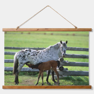 Tapiz Con Marco De Madera Apaloosa Mare y Caballos de Colt
