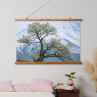 Árbol Florido Solitario y Montañas Nevadas