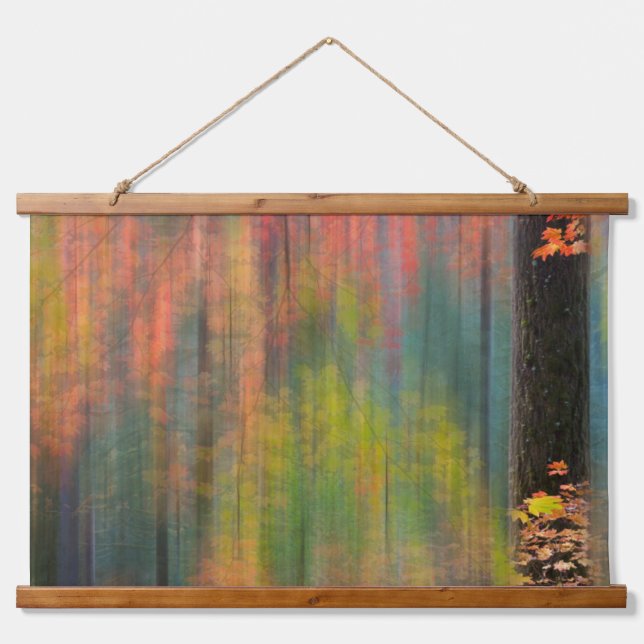 Tapiz Con Marco De Madera Árboles de arce | Parque estatal de Silver Falls (Anverso )