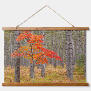 Tapiz Con Marco De Madera Arce con colores de otoño