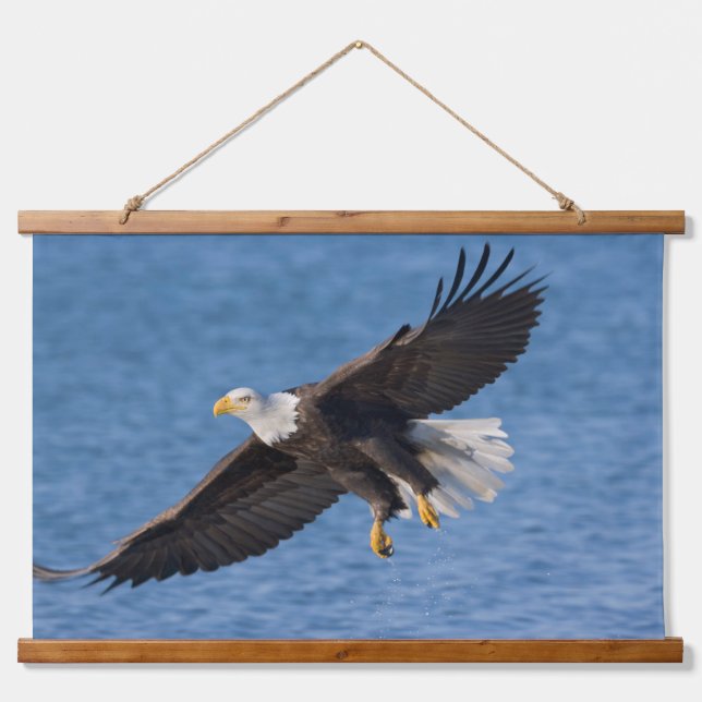 Tapiz Con Marco De Madera Bald eagle in flight (Anverso )
