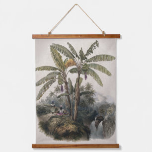 Tapiz Con Marco De Madera Bosque Antiguo de Árboles de Plátano Tropical   Bo