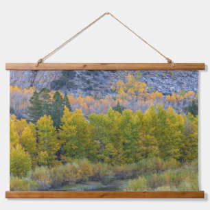 Tapiz Con Marco De Madera Bosque de Aspen en otoño