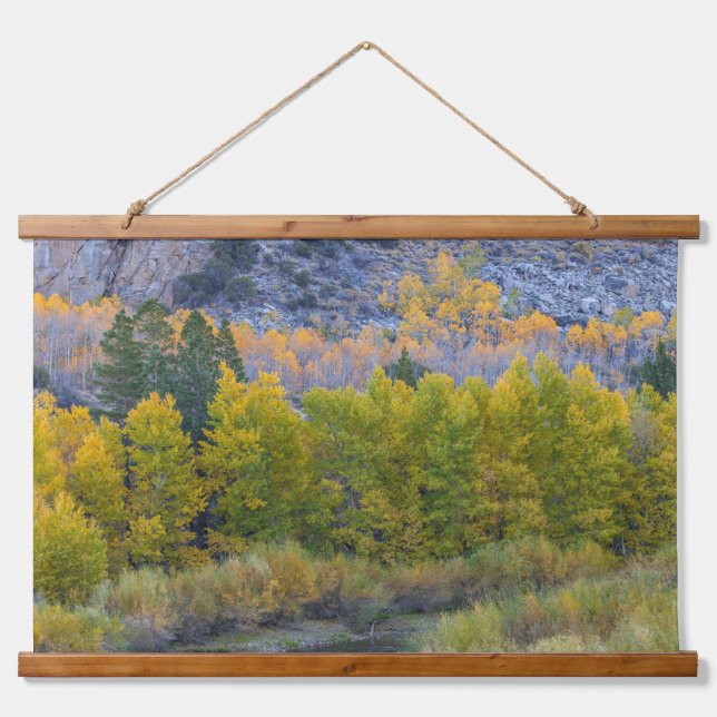 Tapiz Con Marco De Madera Bosque de Aspen en otoño (Anverso )