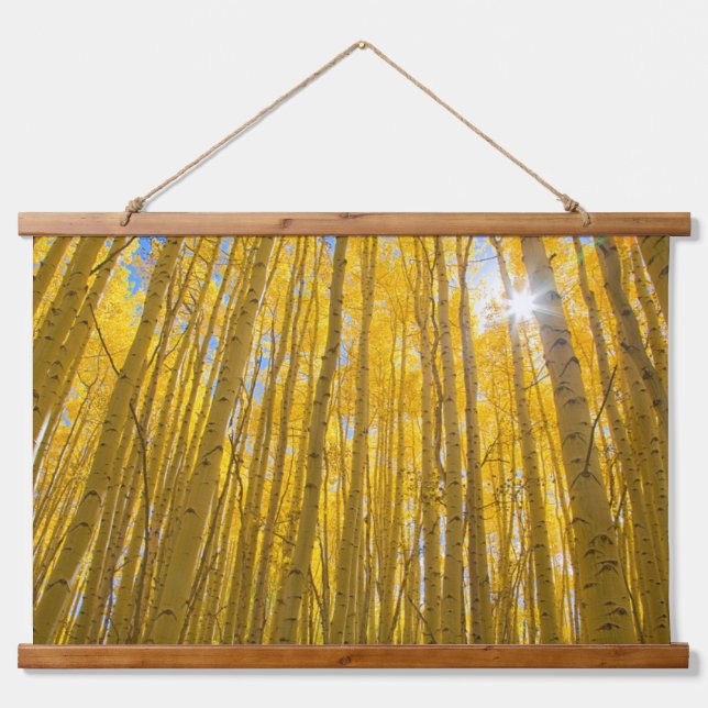 Tapiz Con Marco De Madera Bosque nacional del río Blanco (Anverso )