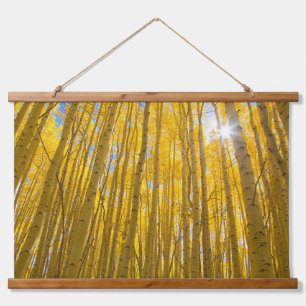 Tapiz Con Marco De Madera Bosque Nacional White River