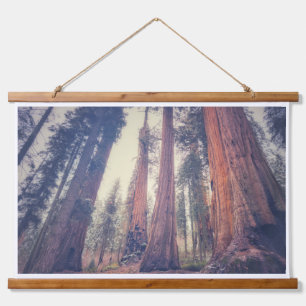 Tapiz Con Marco De Madera Bosque Sequoia